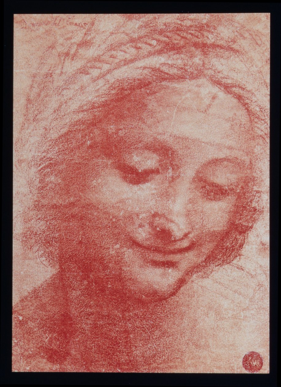 Tête de femme - Leonardo da Vinci