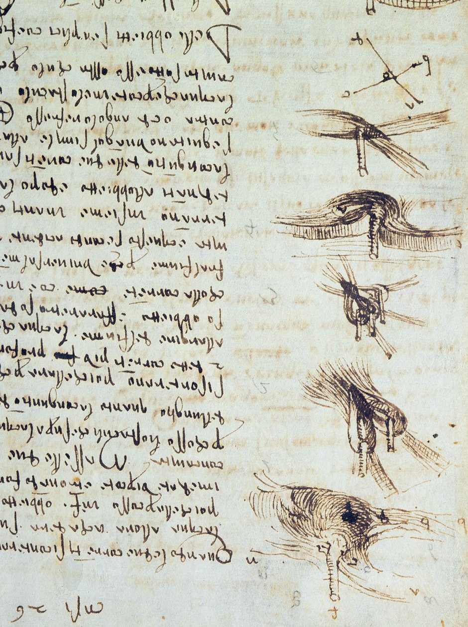 Diagrammes scientifiques, du Codex Leicester, 1508-12 (détail) - Leonardo da Vinci