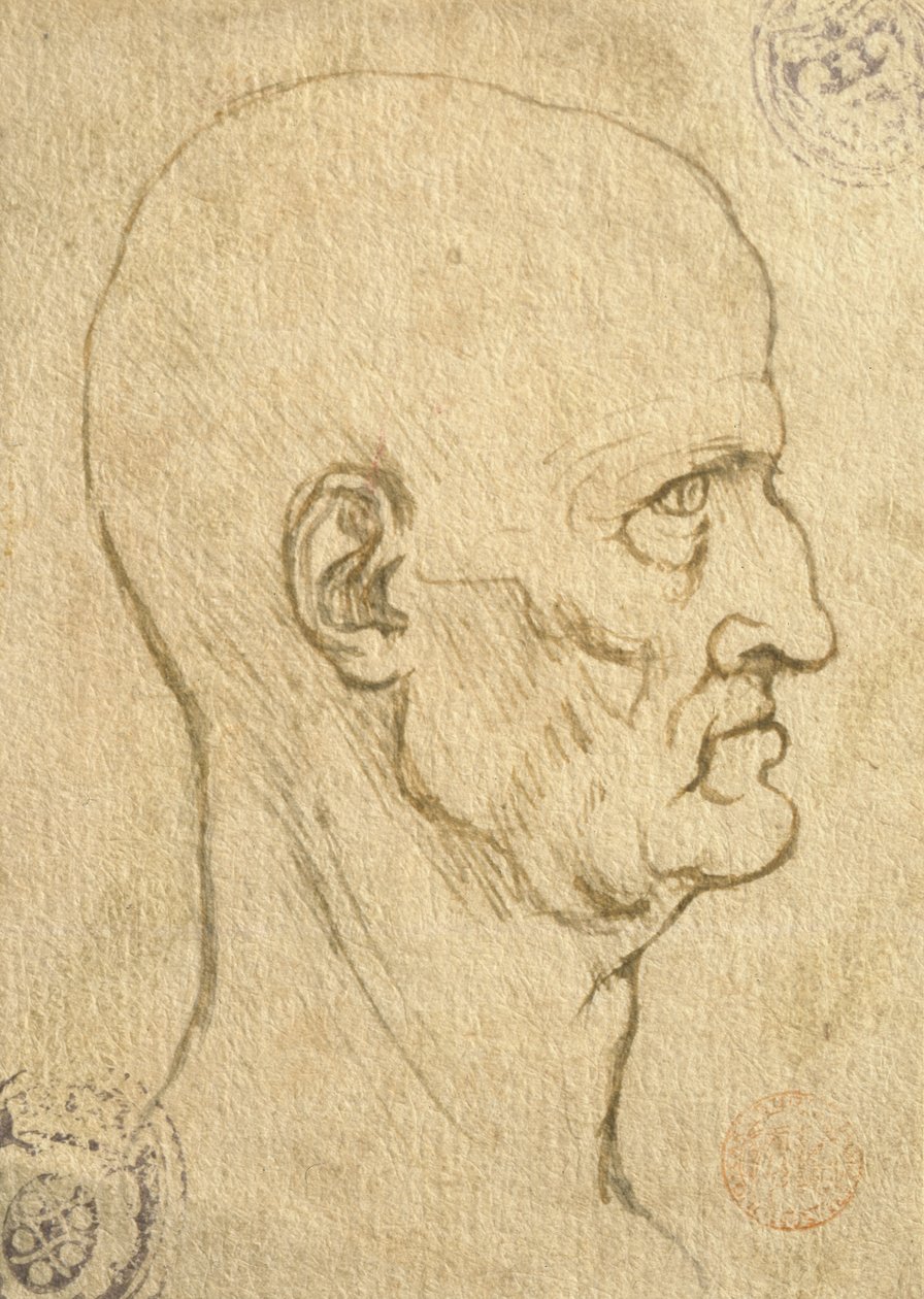 Étude des proportions humaines - Leonardo da Vinci