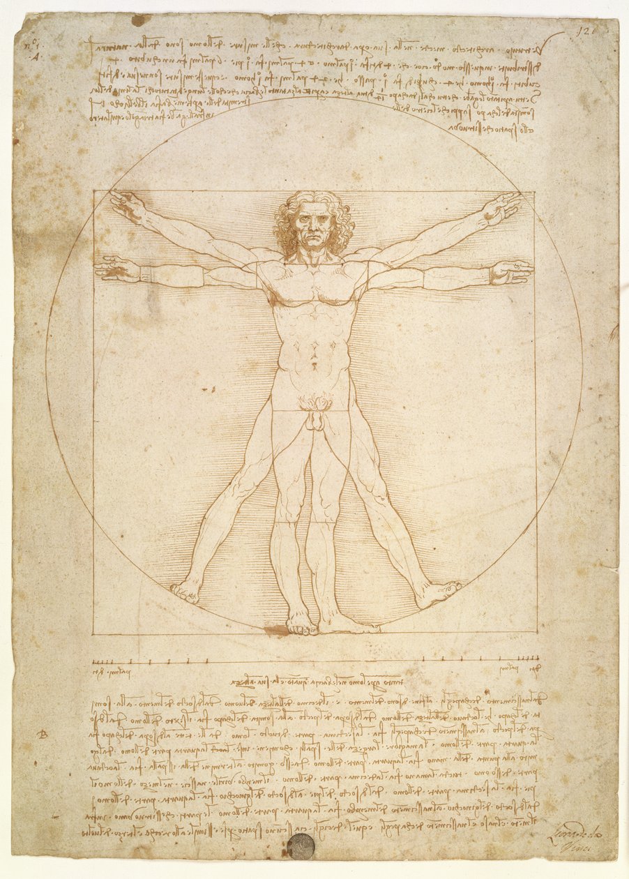 Les proportions de la figure humaine (d