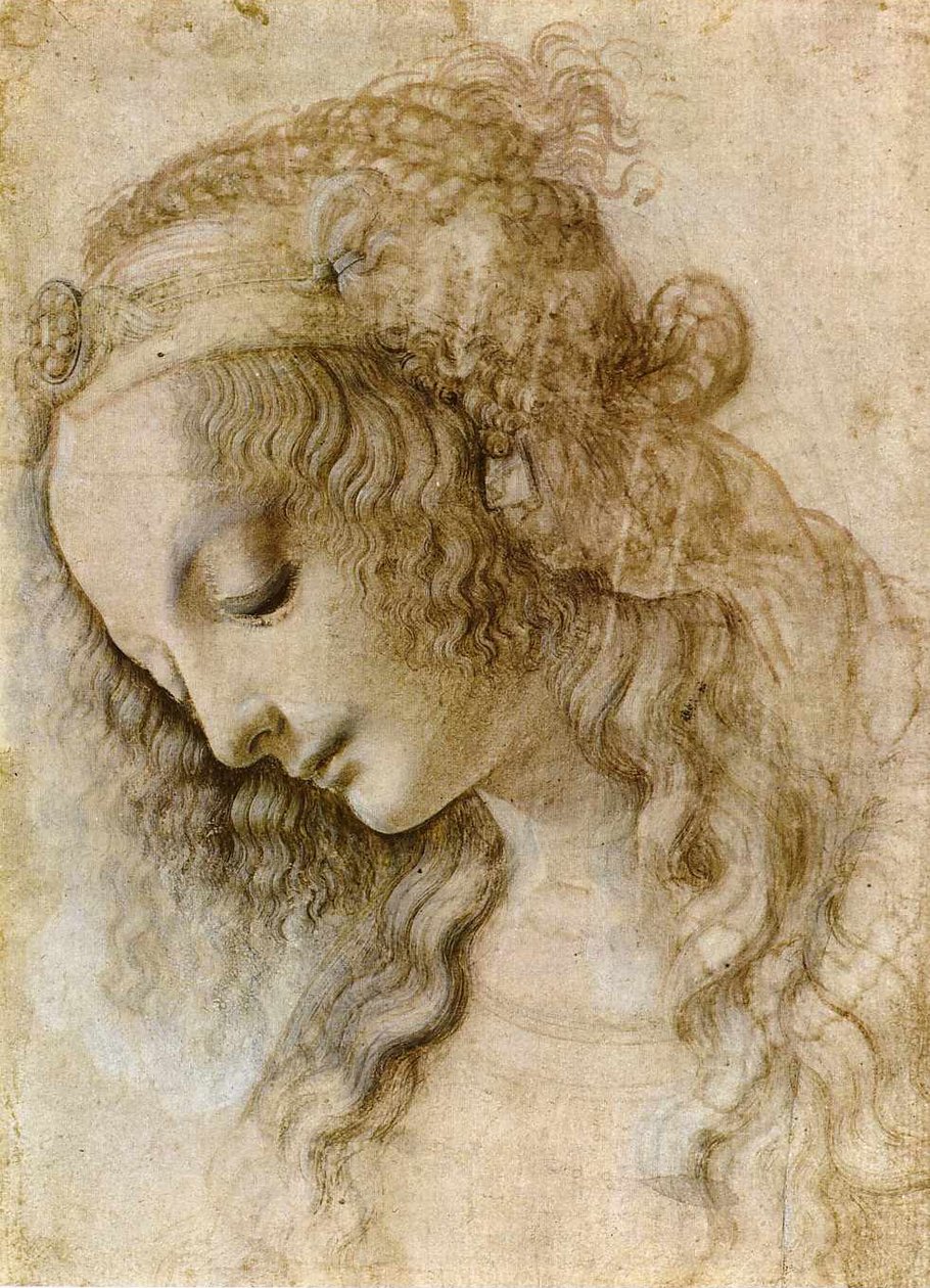 Tête féminine de profil - Leonardo da Vinci