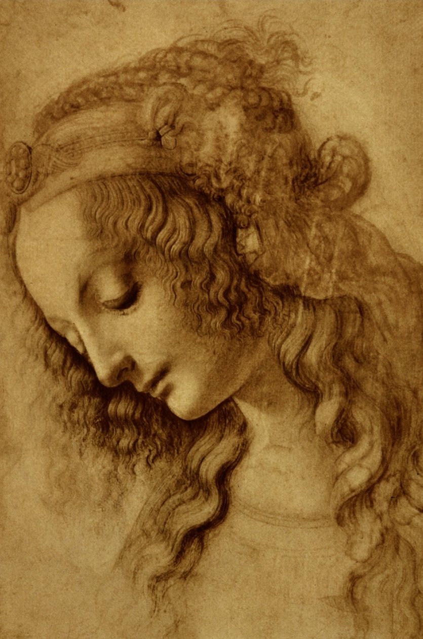 Femme de profil - Leonardo da Vinci
