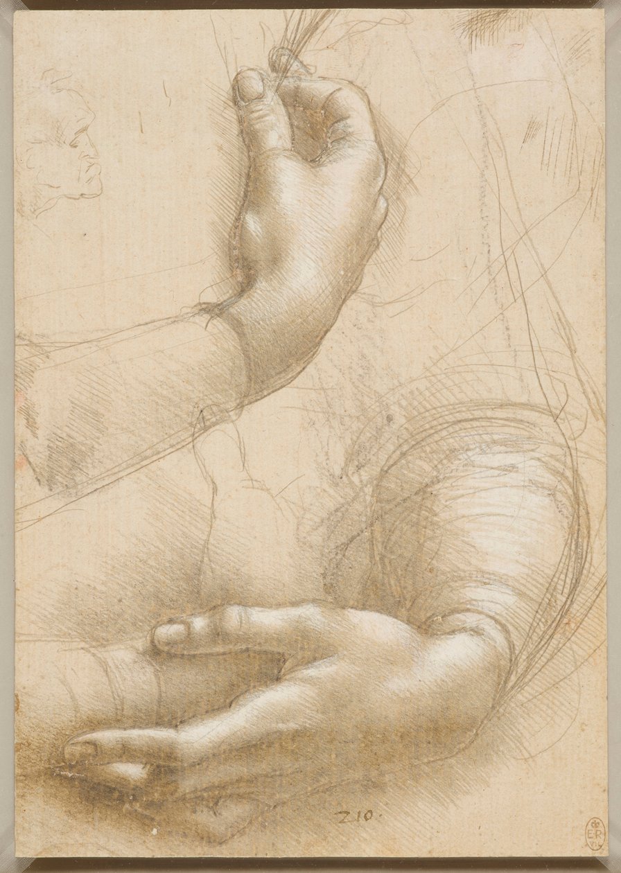 Bras et mains féminines - Leonardo da Vinci