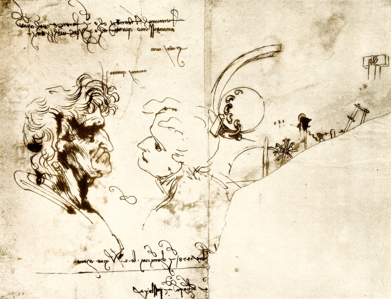 Esquisses de deux têtes masculines - Leonardo da Vinci