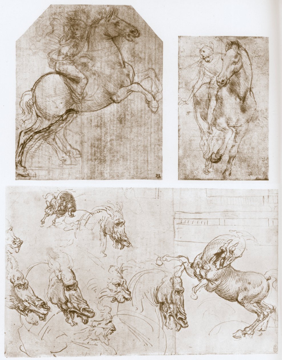Cavalier, 1480-1481 - Leonardo da Vinci