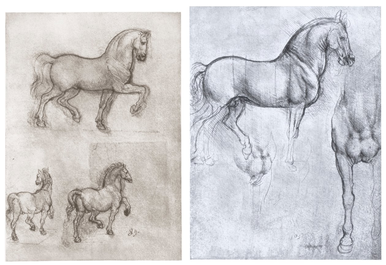 Chevaux, c1490-1510 - Leonardo da Vinci