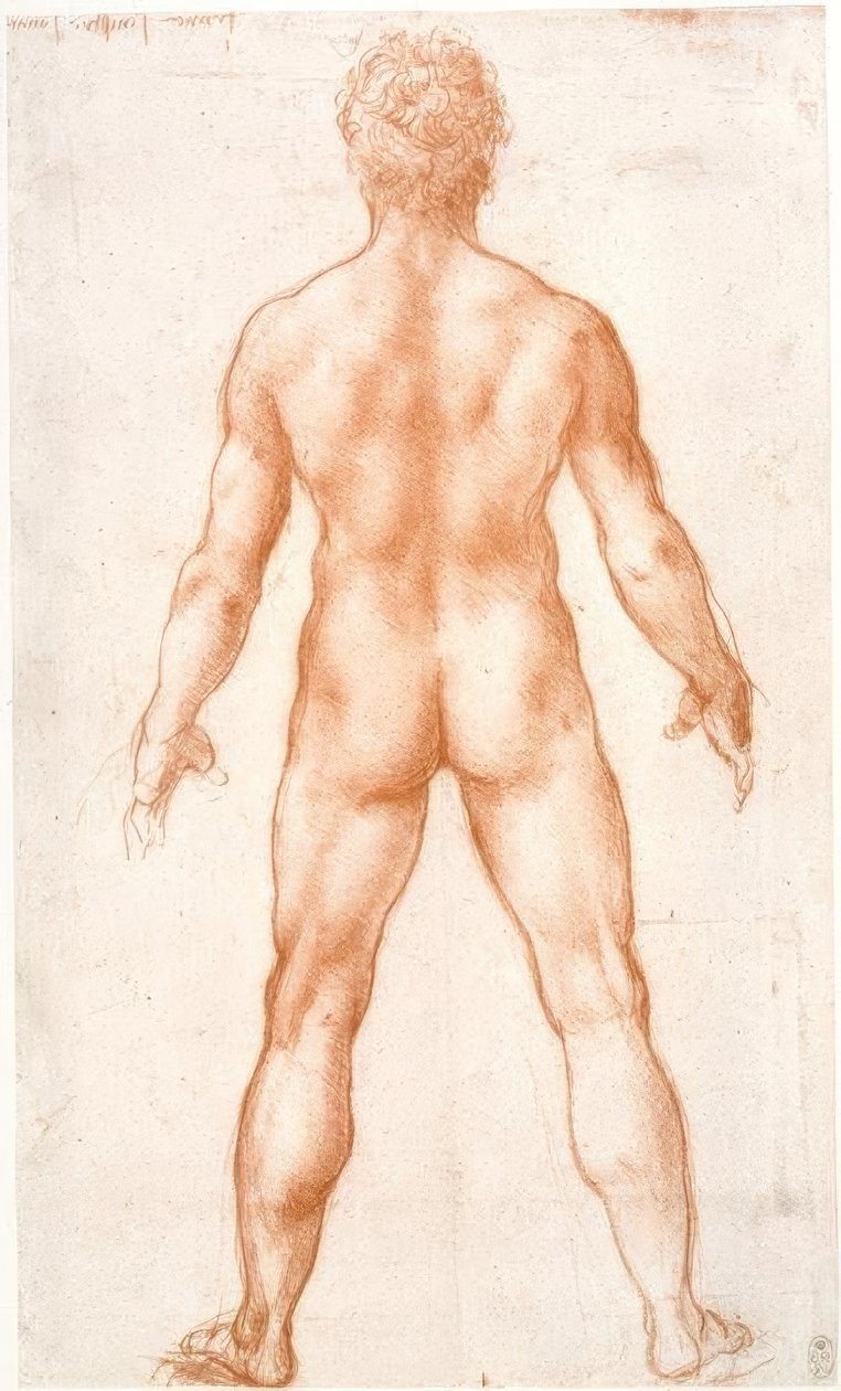 Nu masculin vu de dos - Leonardo da Vinci