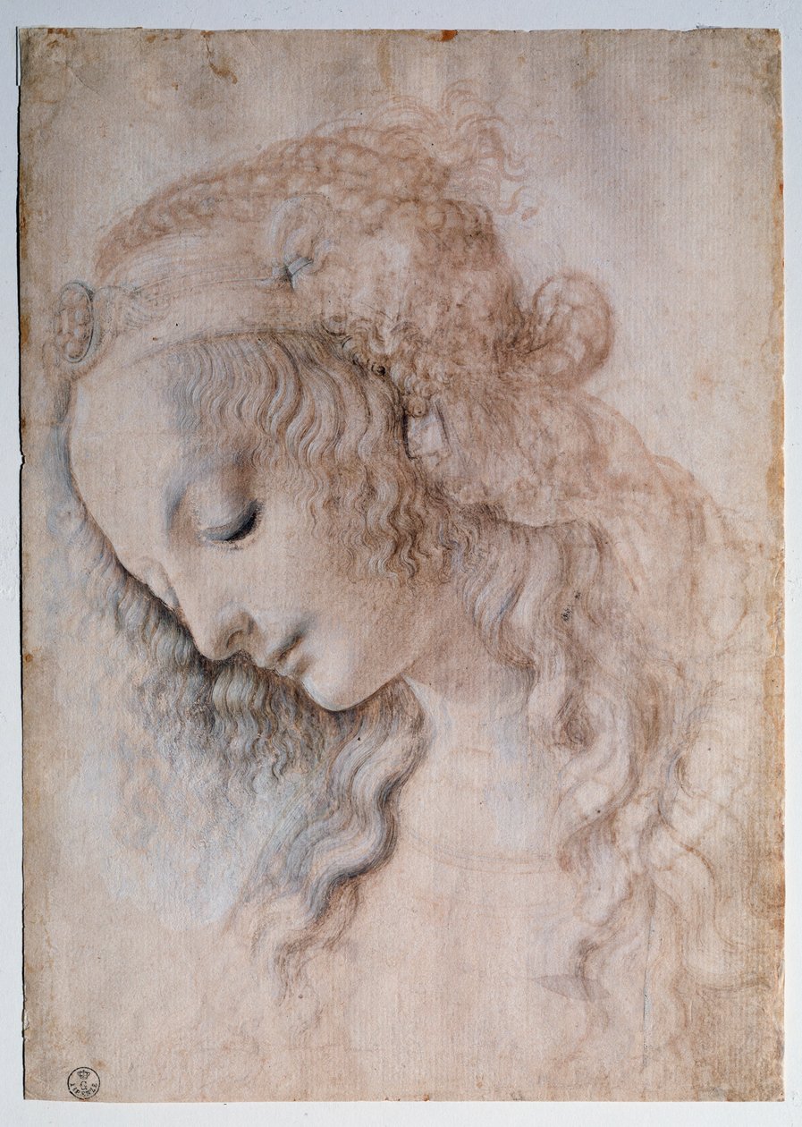 Portrait de jeune fille - Leonardo da Vinci