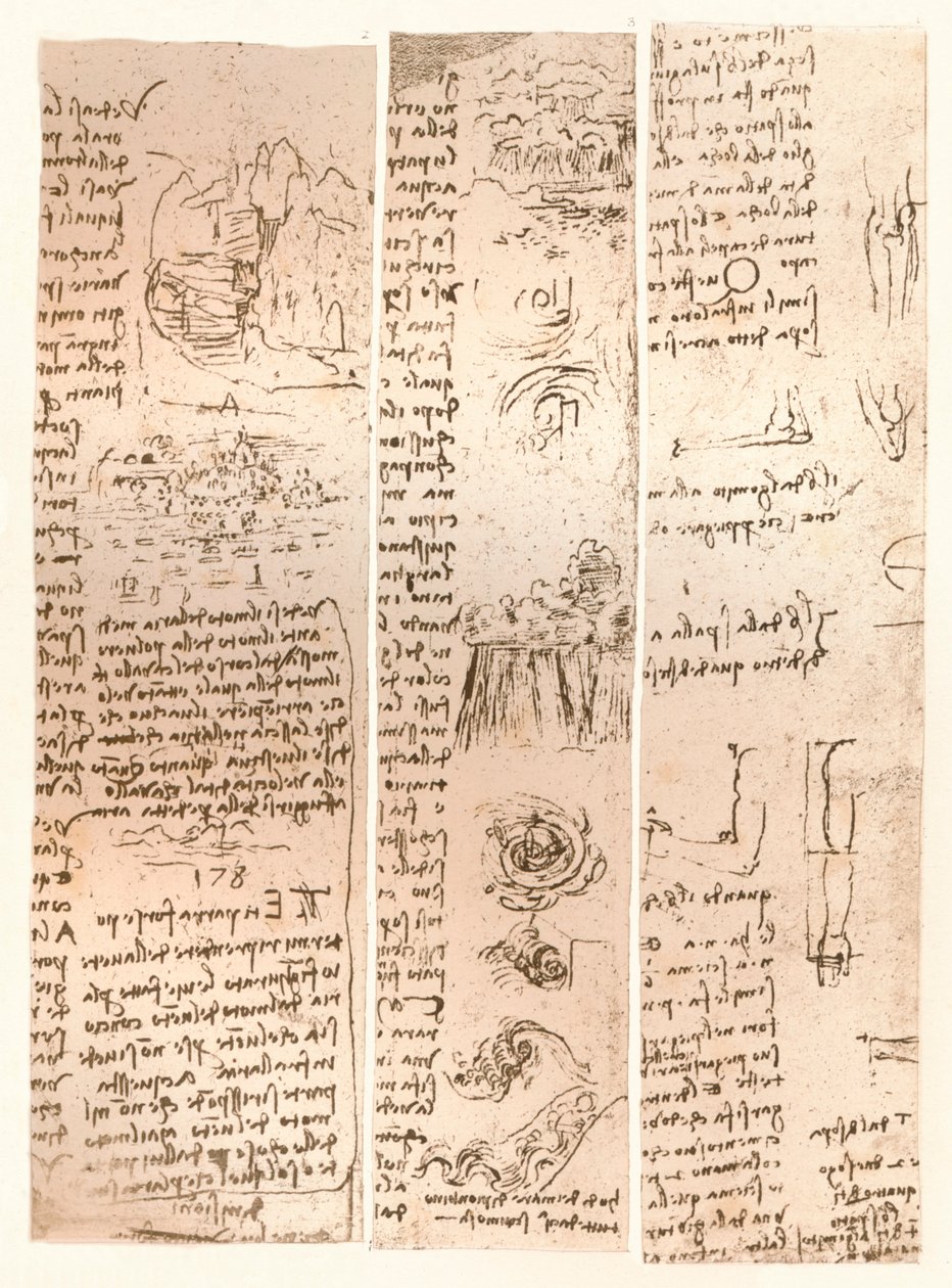 Trois dessins, vers 1472-1519 - Leonardo da Vinci