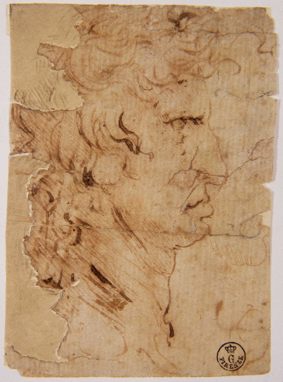 Image inconnue - Leonardo da Vinci