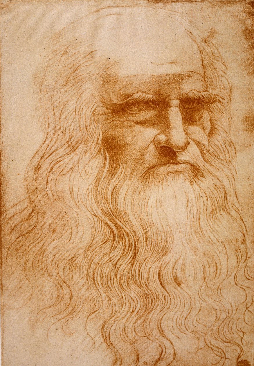 Image inconnue - Leonardo da Vinci