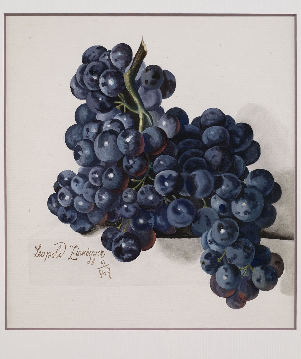 Raisins - Leopold Zinnogger