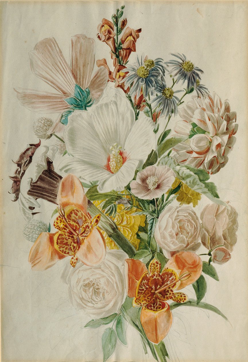Bouquet de fleurs avec hibiscus et lys - Leopold von Stoll