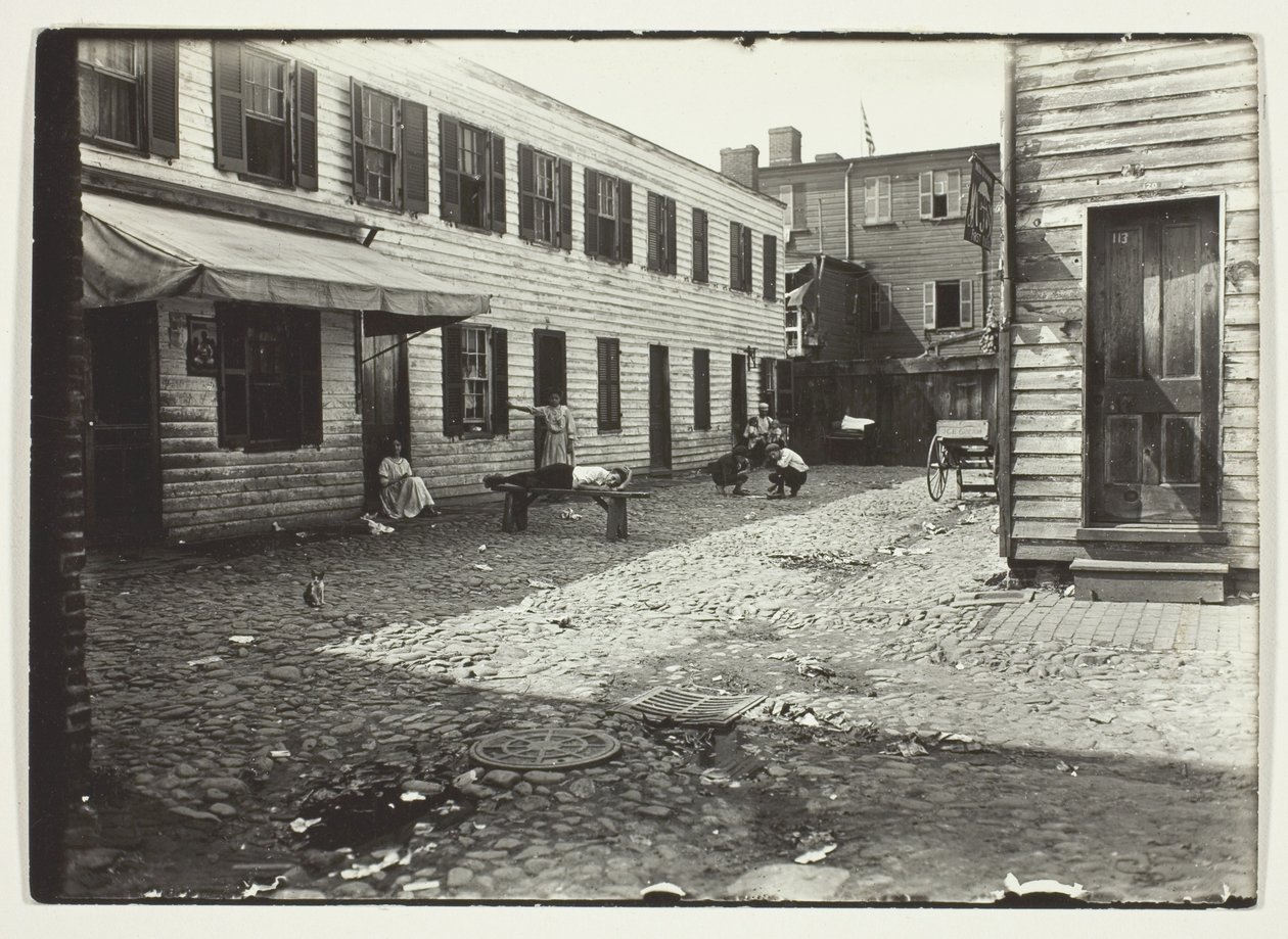 Negro Alley Housing Whites, Washington, D.C. - Lewis Wickes Hine