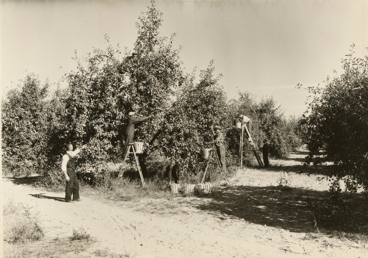 Sans titre, vers 1935 - Lewis Wickes Hine