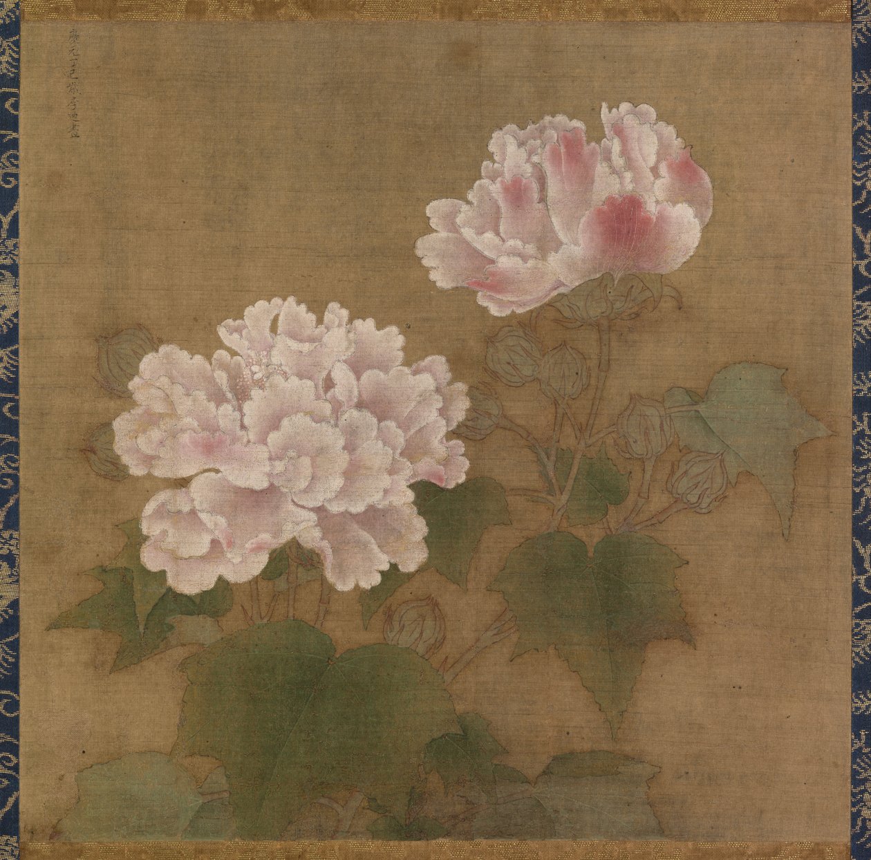 Roses de coton rouges et blanches - Li  Di
