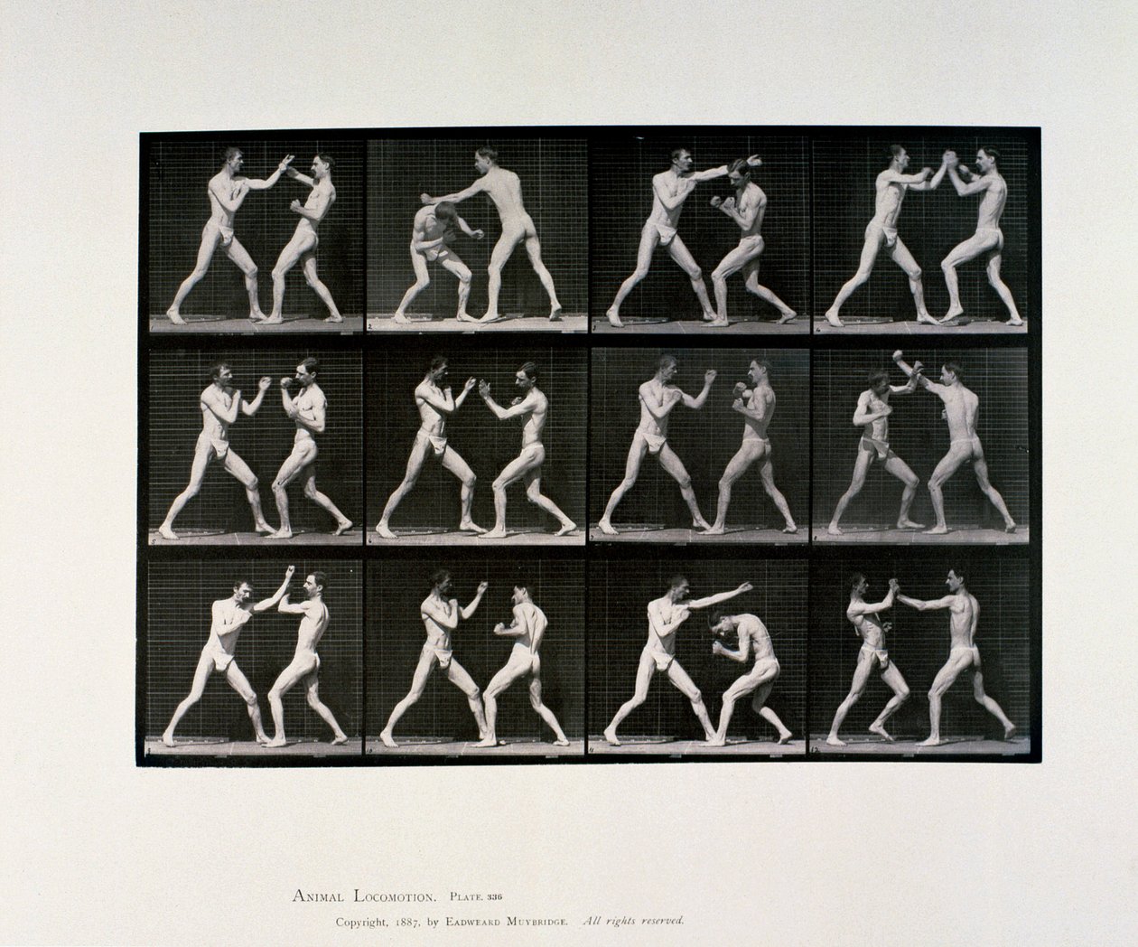 Athlètes masculins nus boxant, vers 1872-1885 - Unbekannt Unbekannt