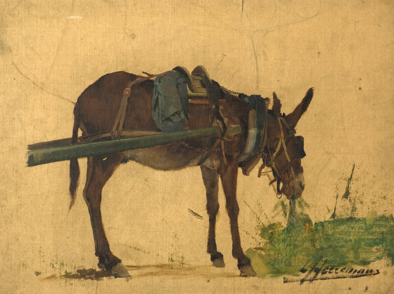 Étude d