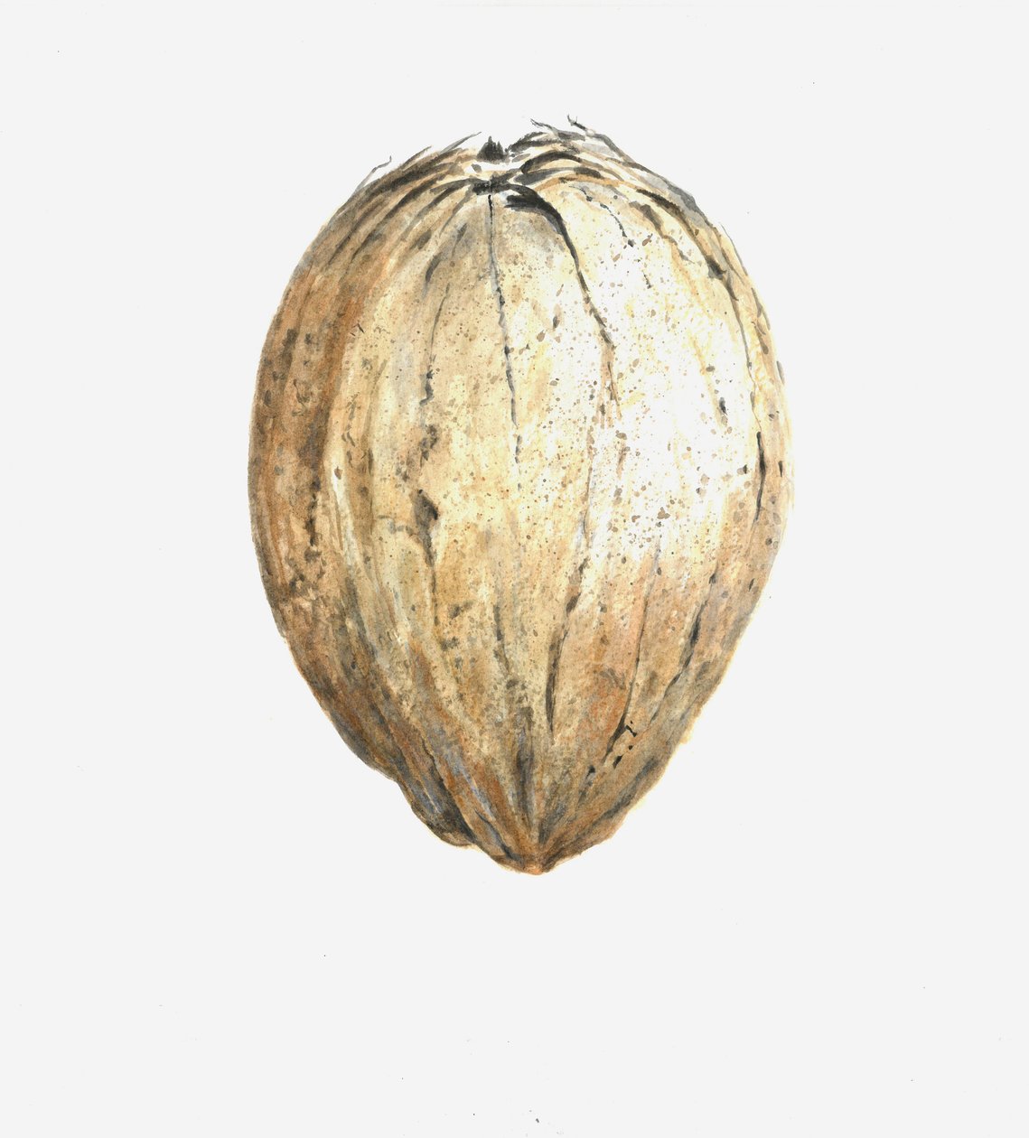 Noix de coco, 2015 - Lincoln Seligman