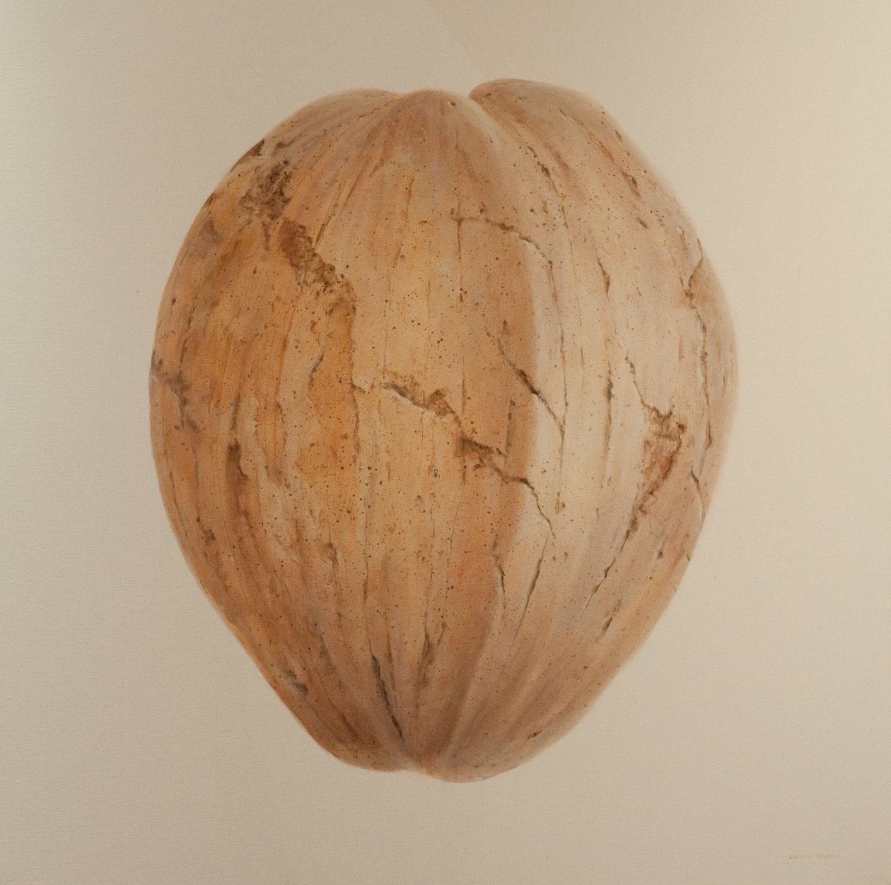 Noix de coco, Sri Lanka, 2010 - Lincoln Seligman