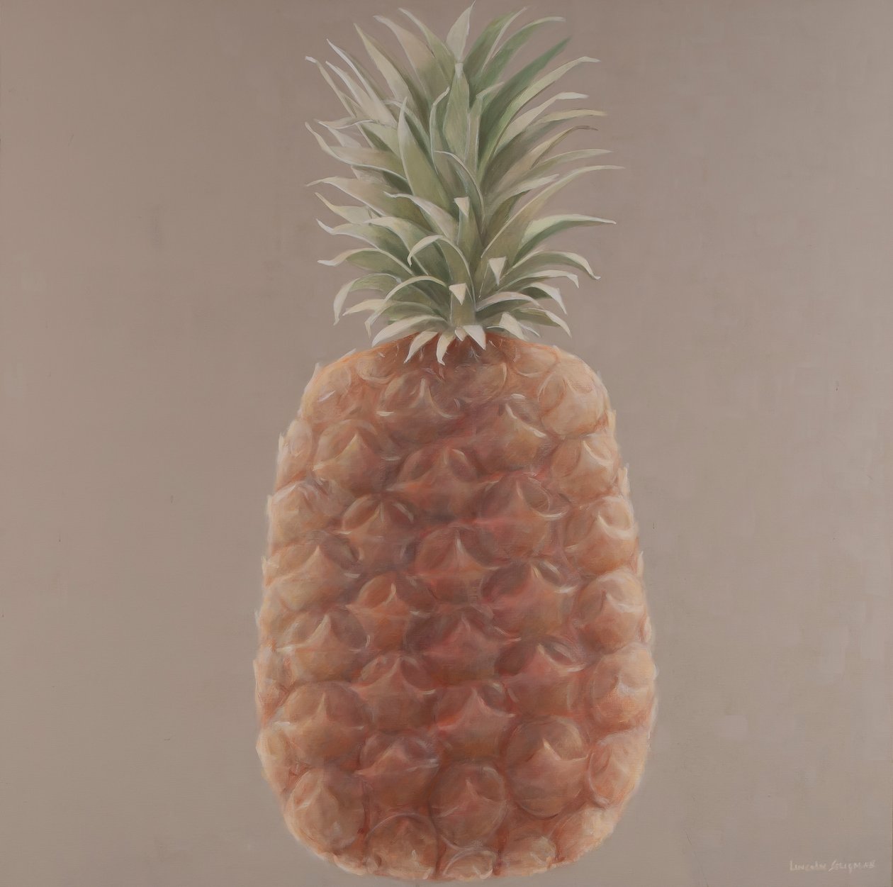 Ananas, 2012 - Lincoln Seligman