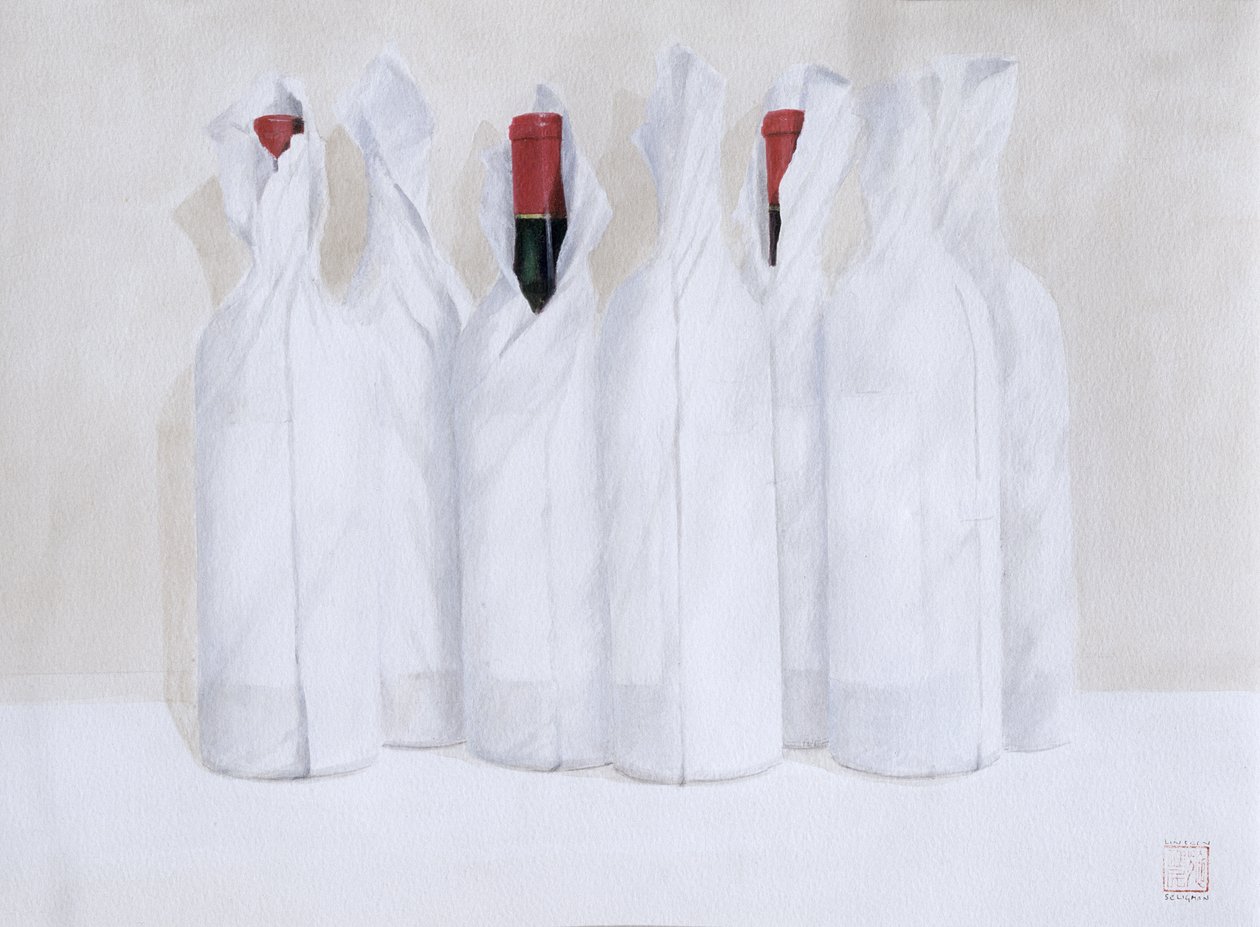 Bouteilles enveloppées 3, 2003 - Lincoln Seligman