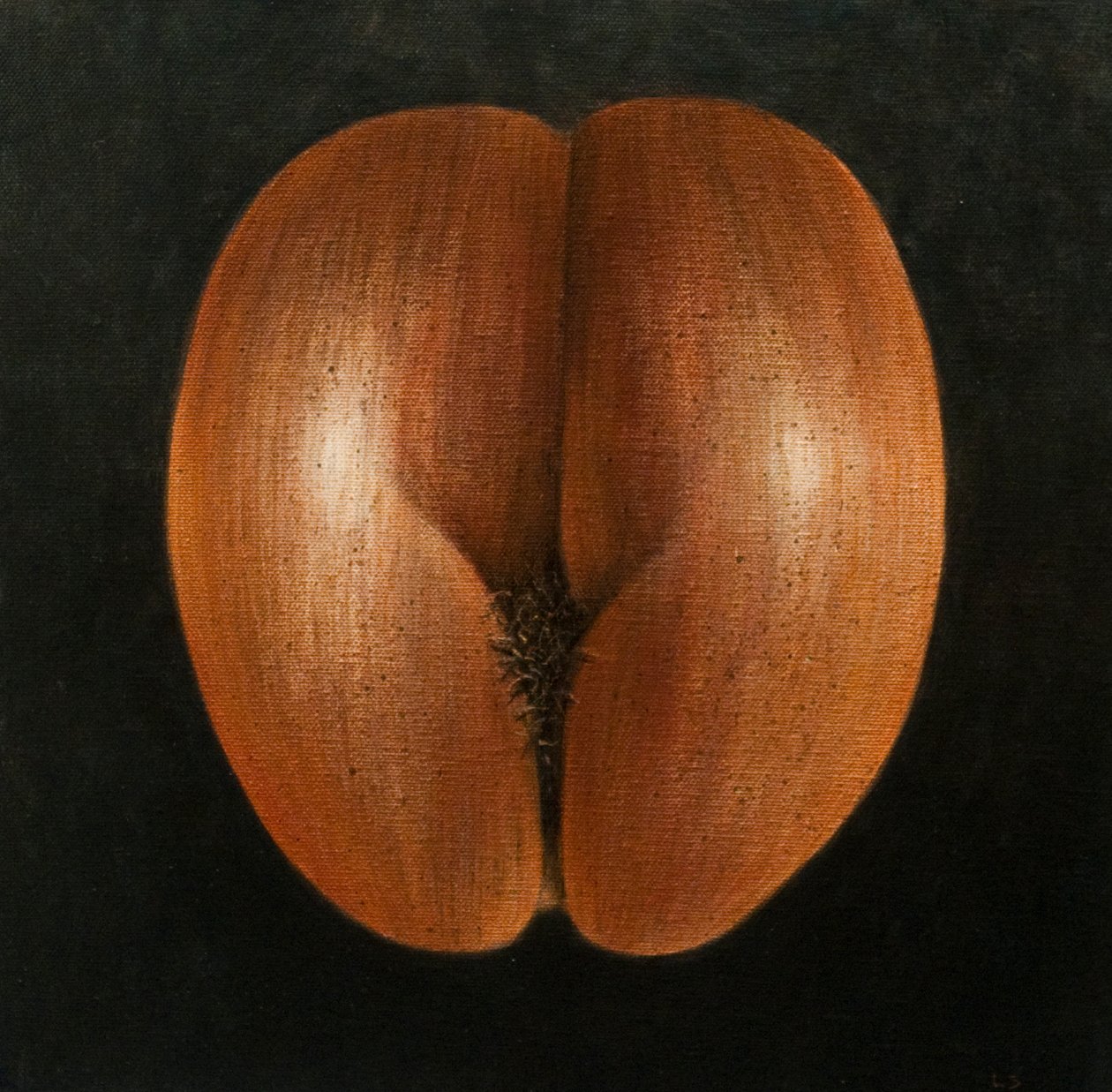 Coco de Mer - Lincoln Seligman