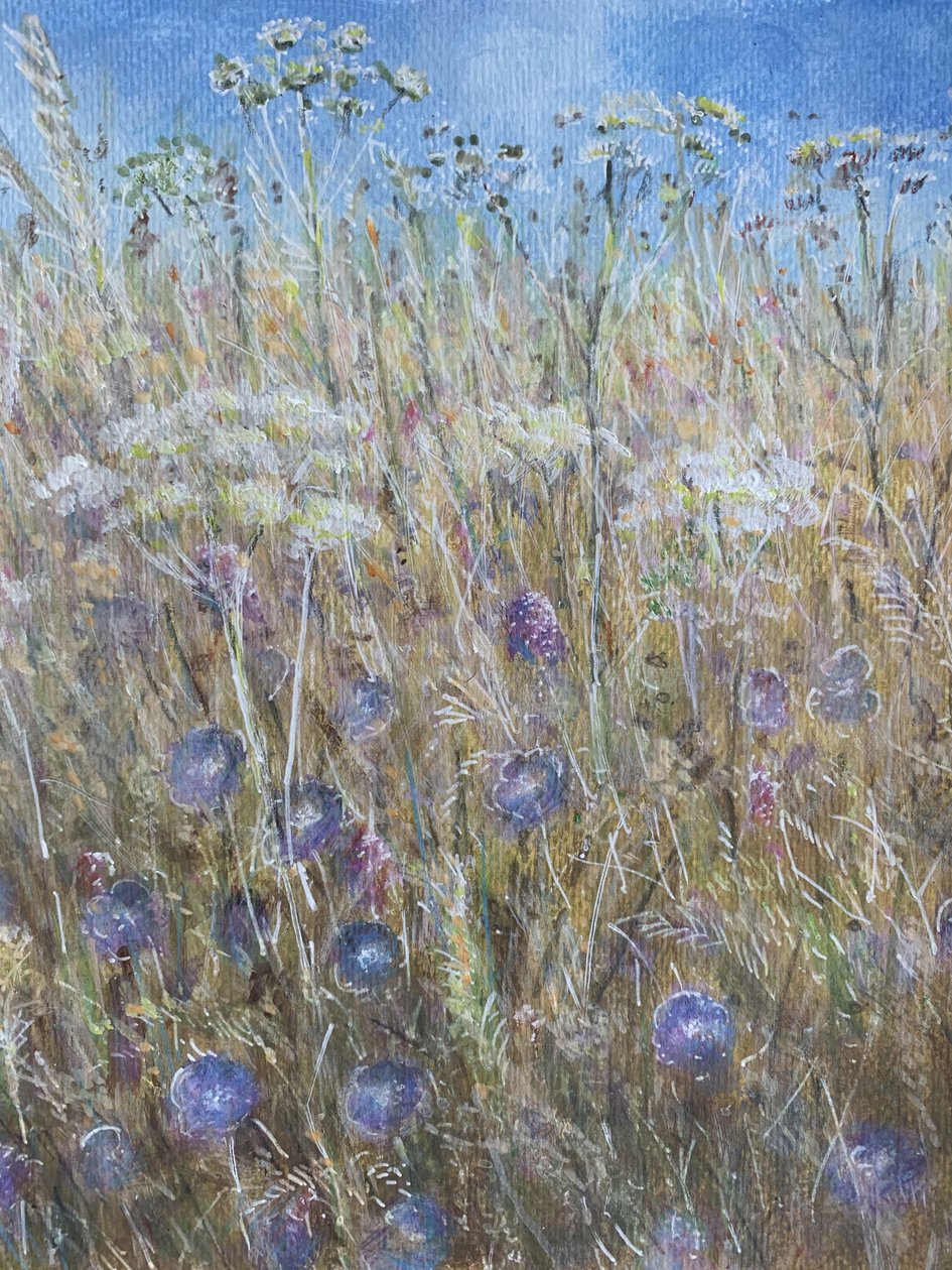 Bleuet 1 - Lincoln Seligman