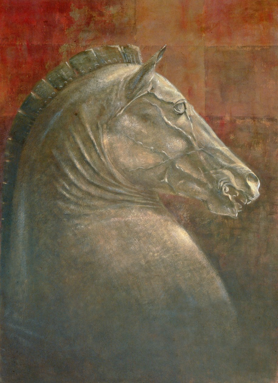 Tête de Cheval - Lincoln Seligman