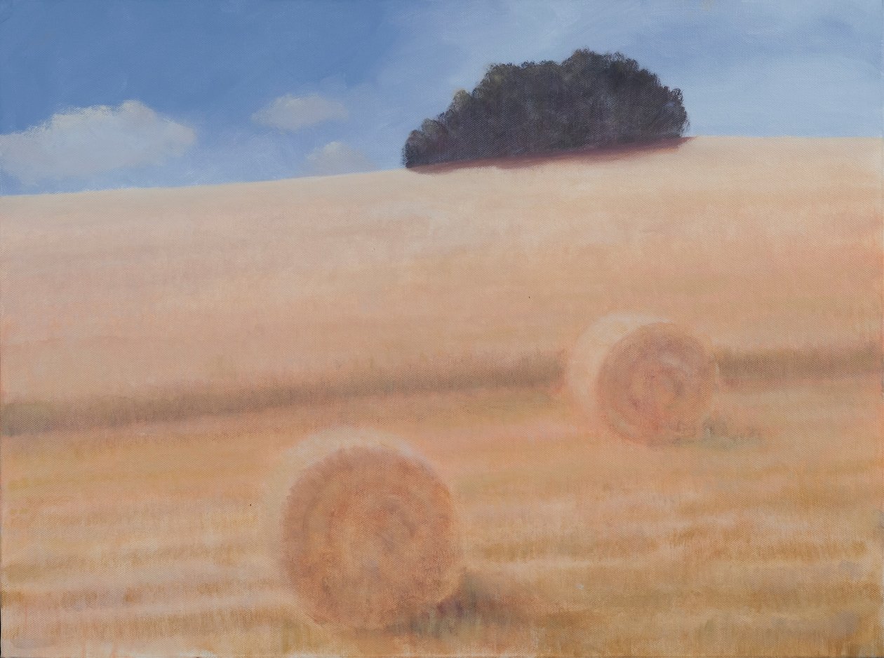 Deux bottes de foin, 2012 - Lincoln Seligman