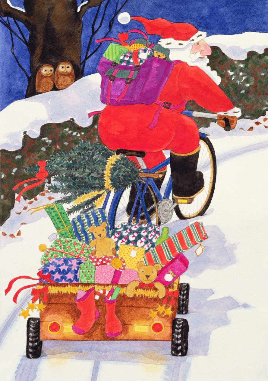 Le vélo du Père Noël - Linda Benton
