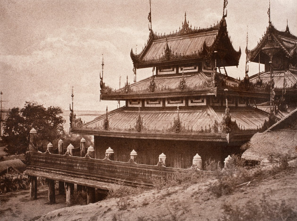 No. 8. Ye-nan-gyoung [Yenangyaung]. Kyoung. - Linnaeus Tripe
