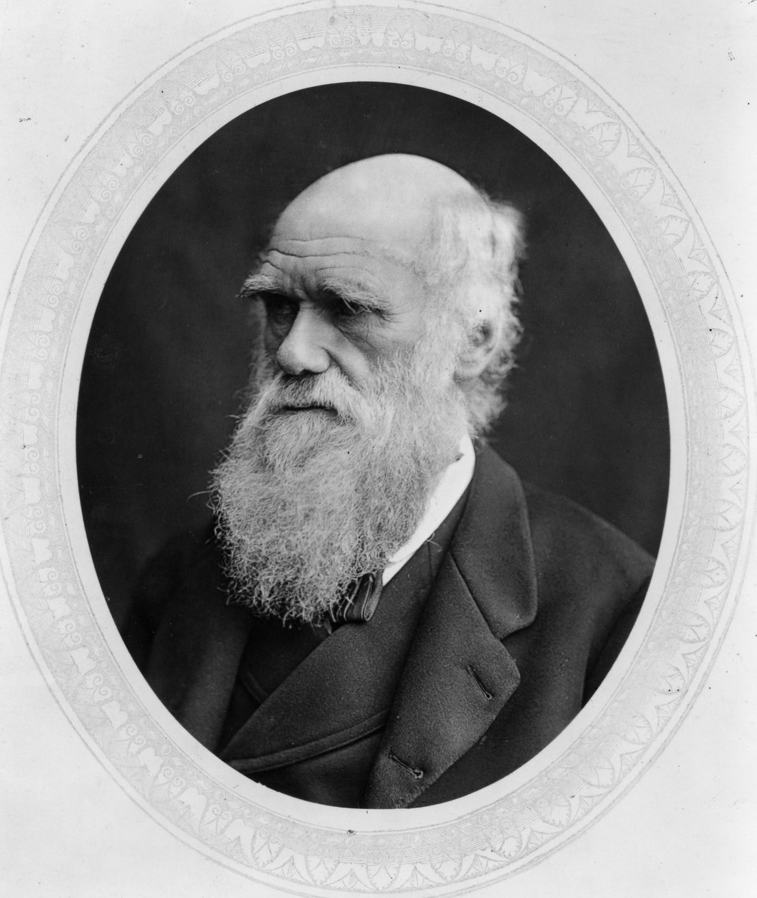 Charles Robert Darwin - Lock and Whitfield