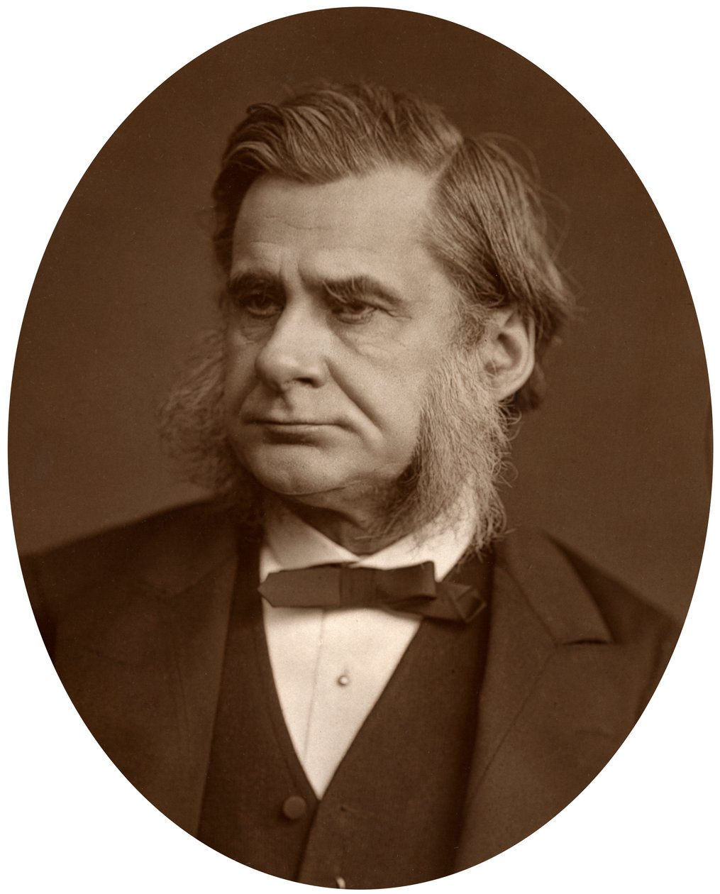 Professeur Thomas Henry Huxley - Lock and Whitfield