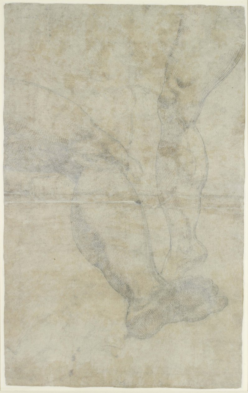 Verso : Études de deux paires de jambes - Lodovico Carracci