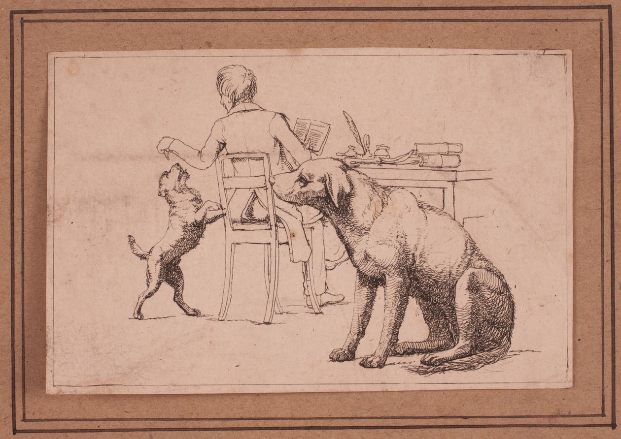 Image 7 de Une vie de chien - Lorenz Frølich