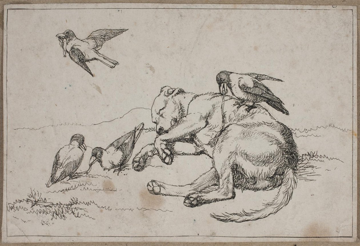 Image 9 de Une vie de chien - Lorenz Frølich