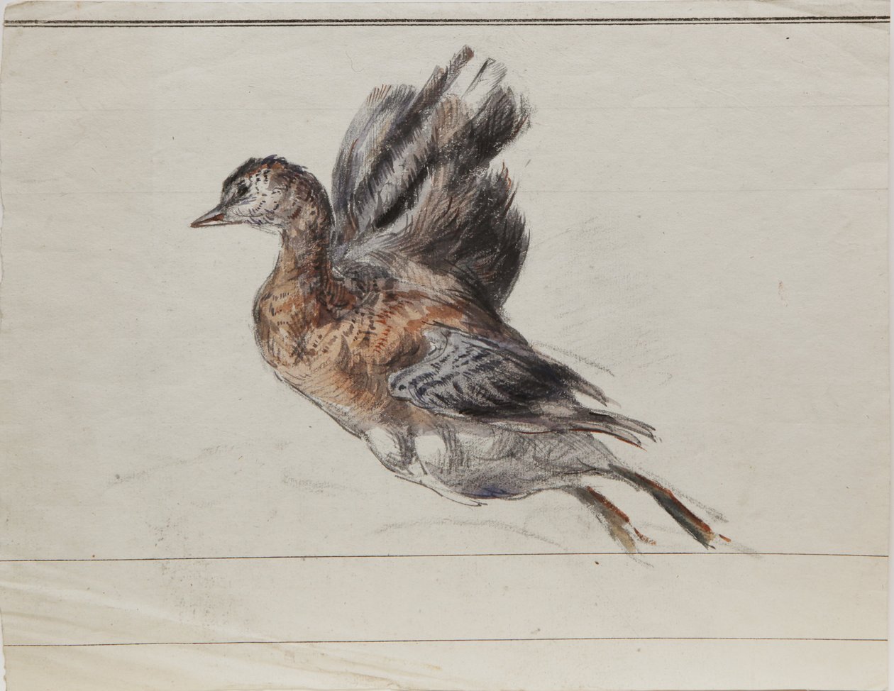 Dessin - Louis Marie Faudacq