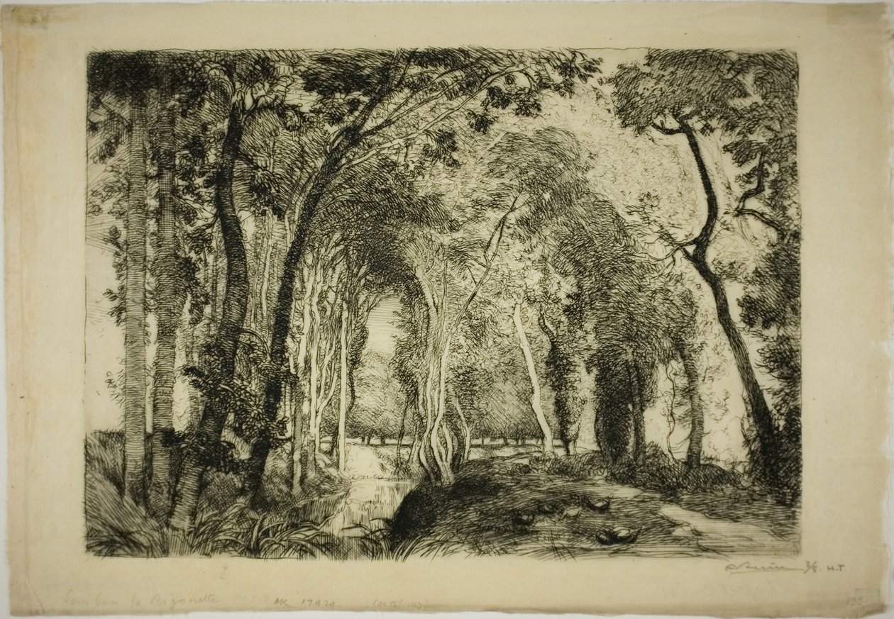 Sous Bois, à la Rigonette - Louis Auguste Lepère