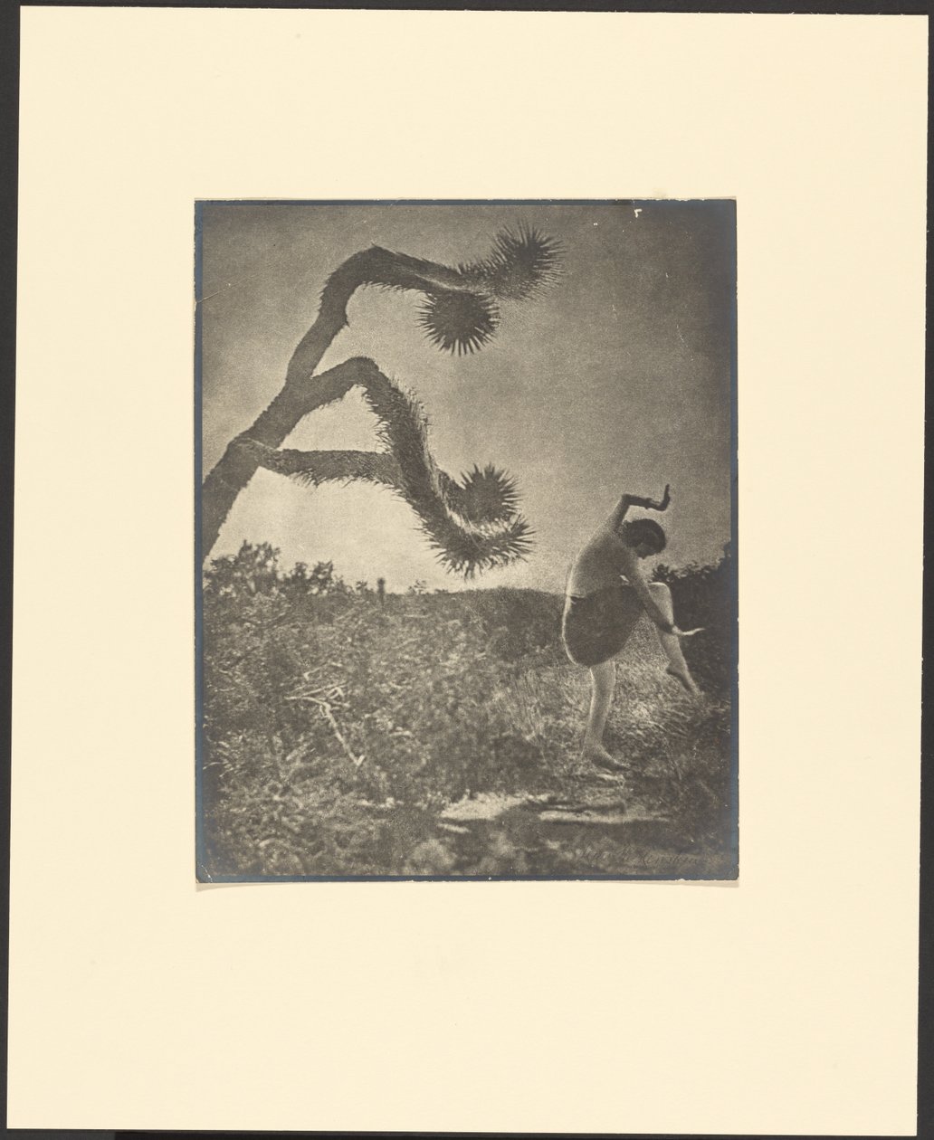 Danse apache - Louis Fleckenstein