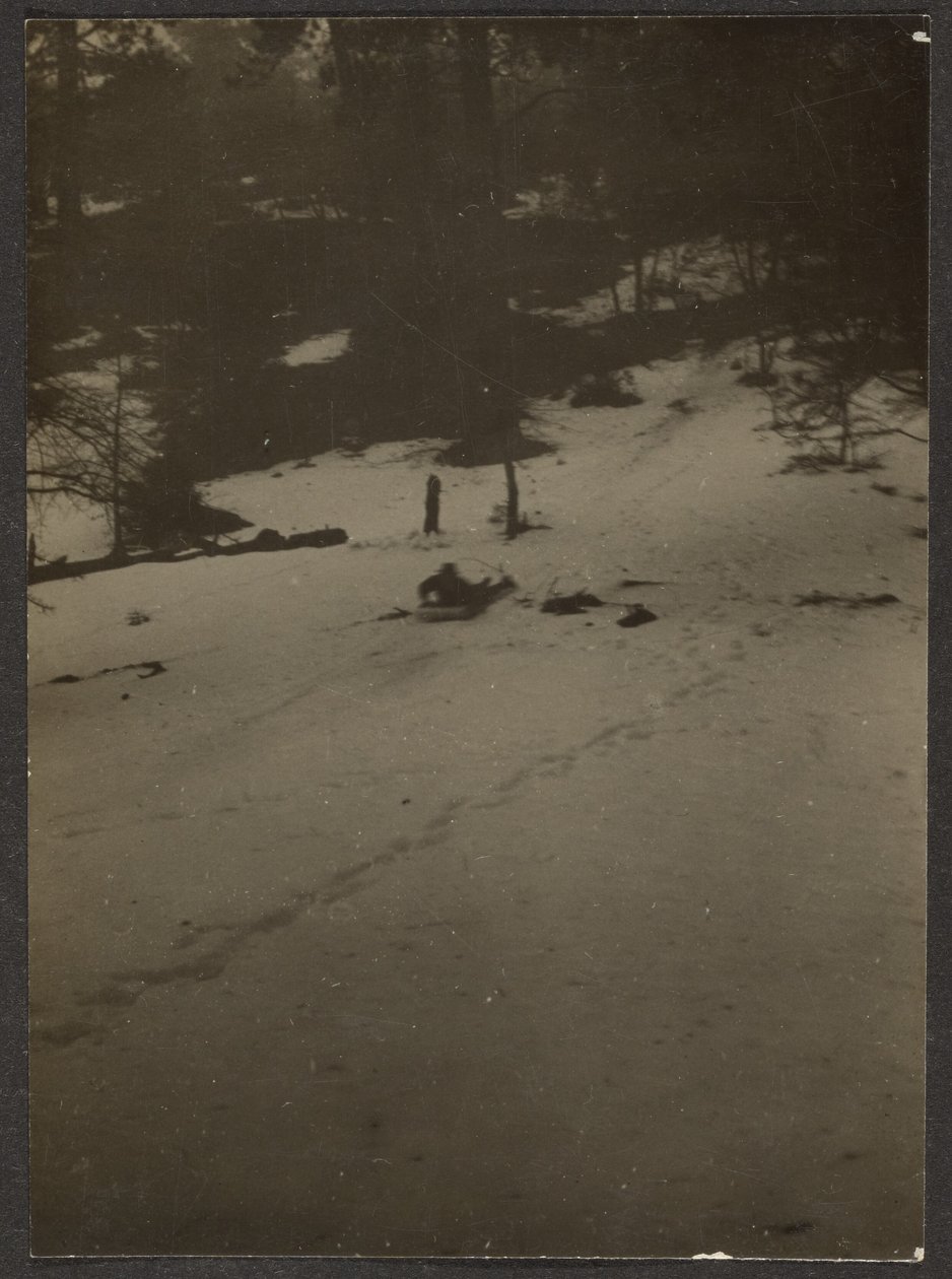[Enfant descendant une colline en luge] - Louis Fleckenstein