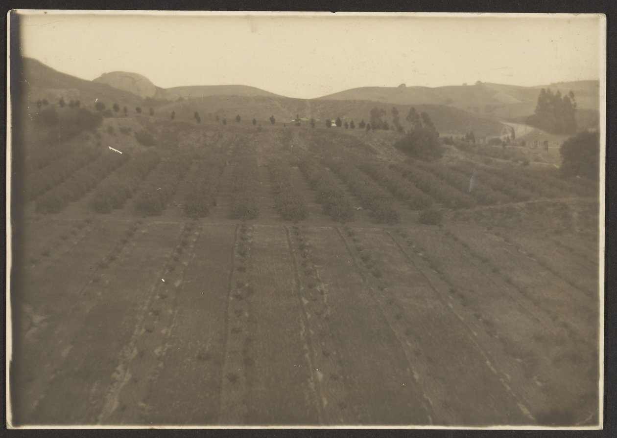 [Paysage agricole] - Louis Fleckenstein