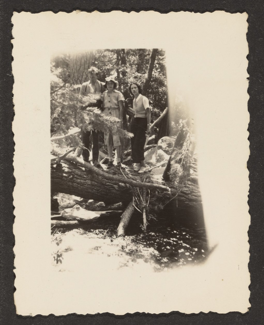 [Figures dans les bois] - Louis Fleckenstein