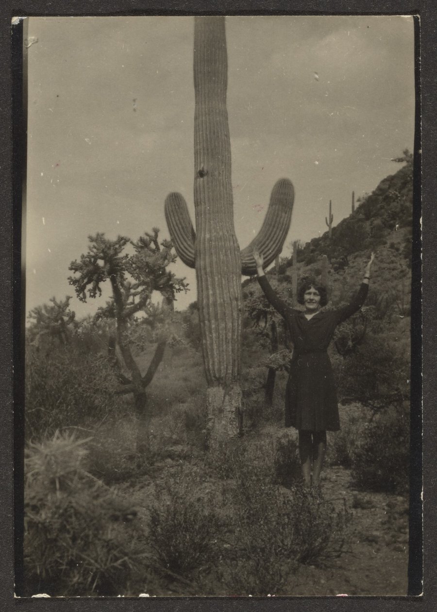 [Florence et Cactus] - Louis Fleckenstein