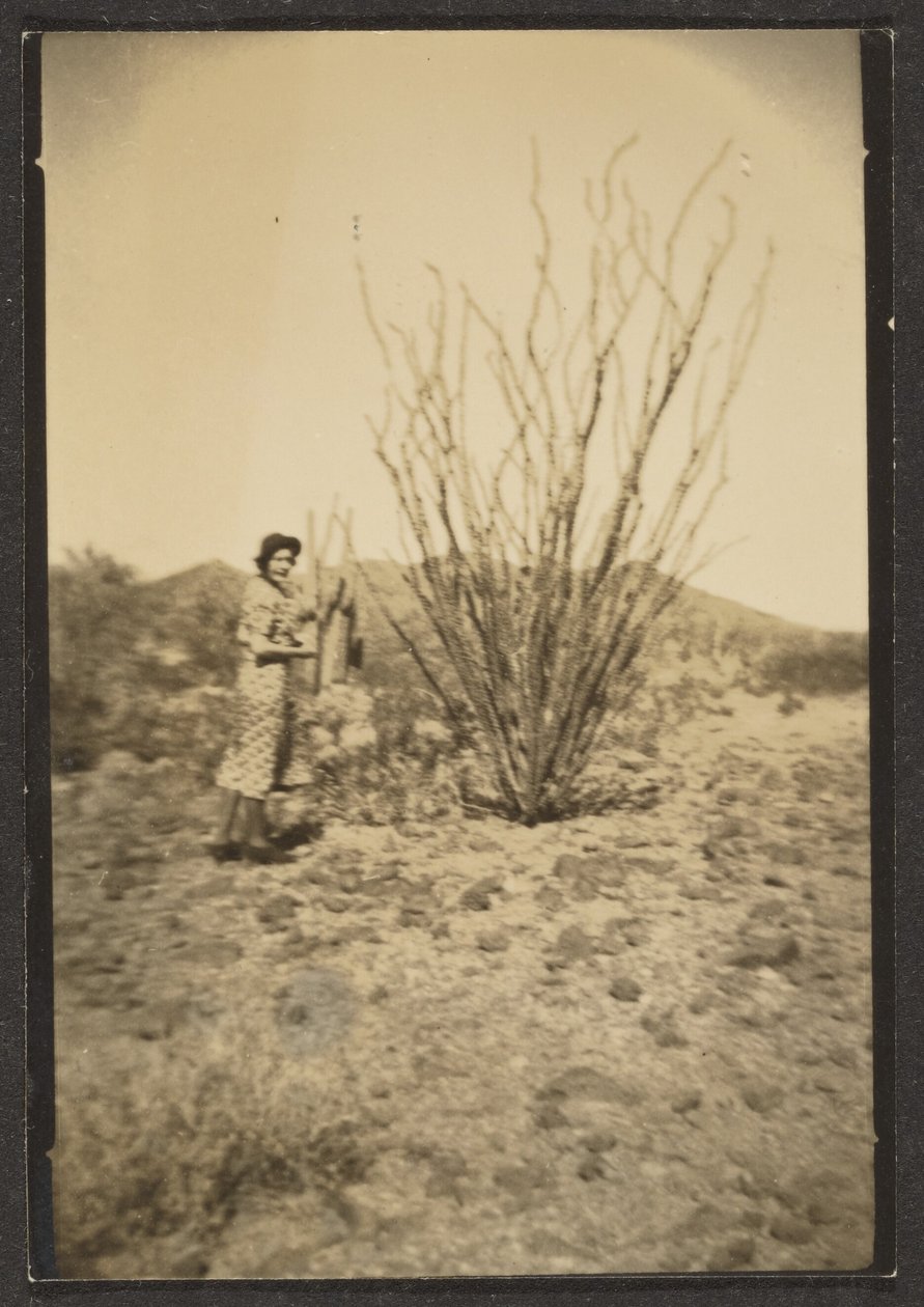 [Florence avec un grand cactus] - Louis Fleckenstein