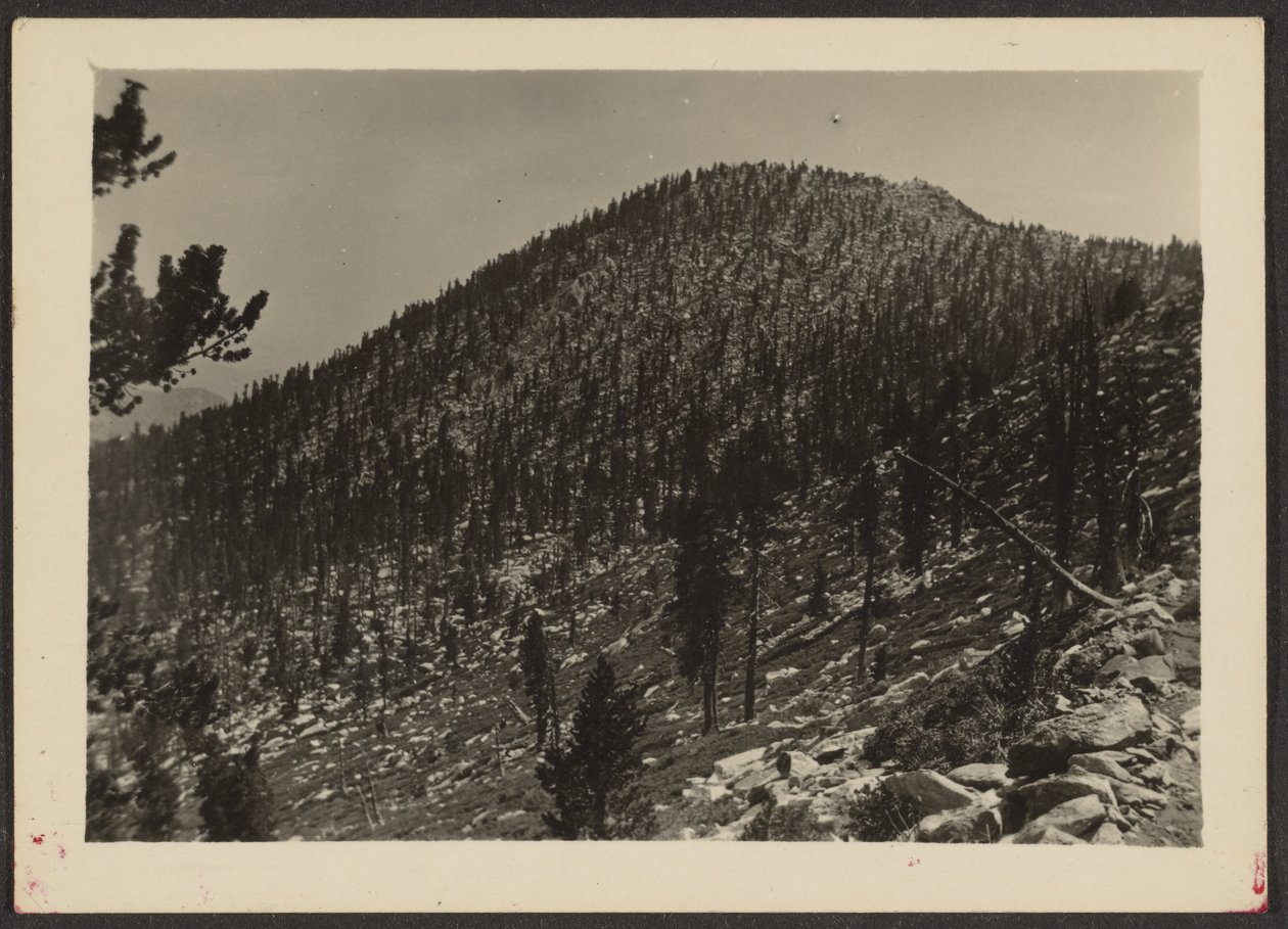 [Pic Jean depuis le sentier] - Louis Fleckenstein