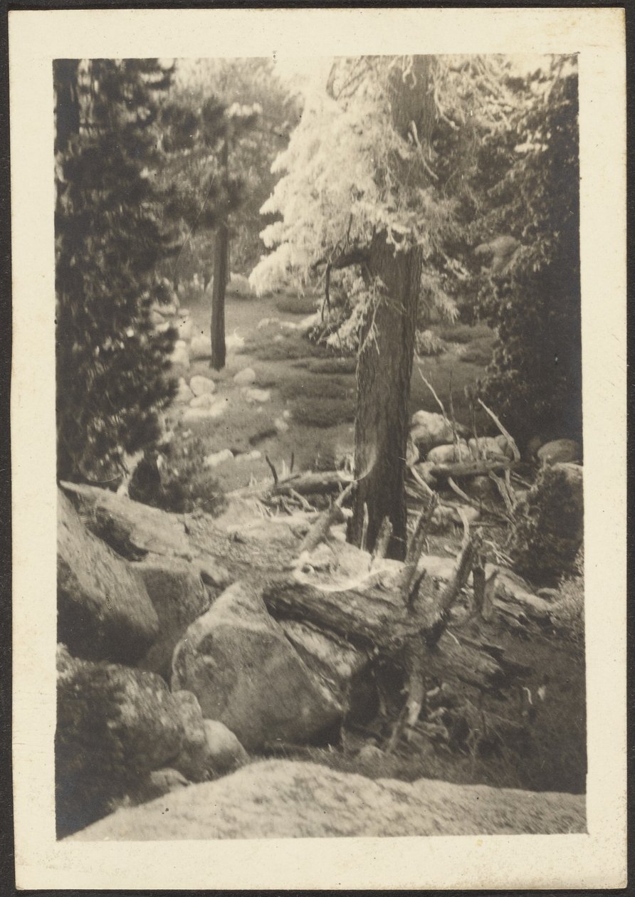 [Paysage] - Louis Fleckenstein