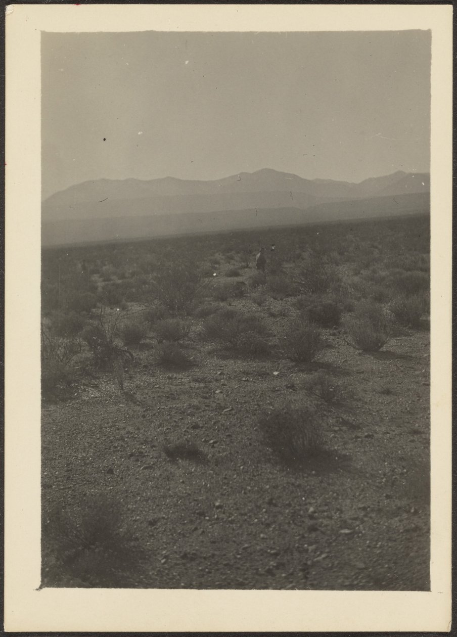 [Paysage] - Louis Fleckenstein