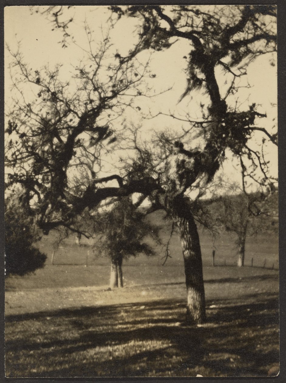 [Paysage] - Louis Fleckenstein