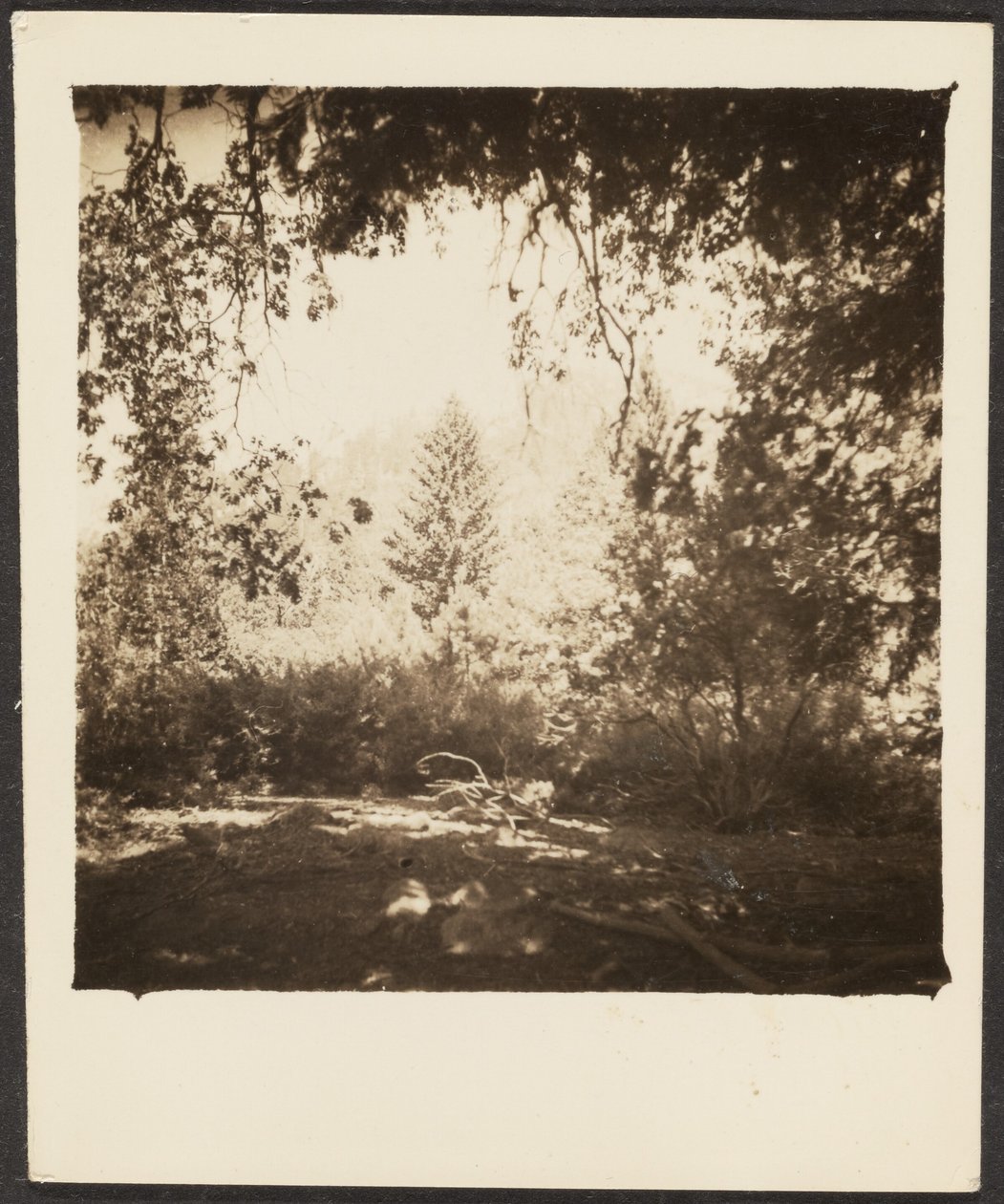 [Paysage] - Louis Fleckenstein